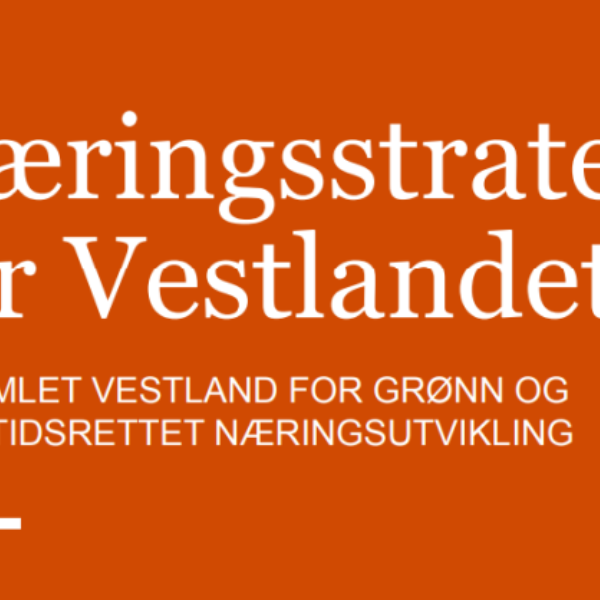 Næringsstrategi